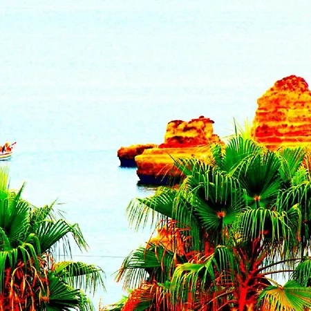 Amazing Sea View W/ 2 Bdr Ideal 4 Families W/ Wifi